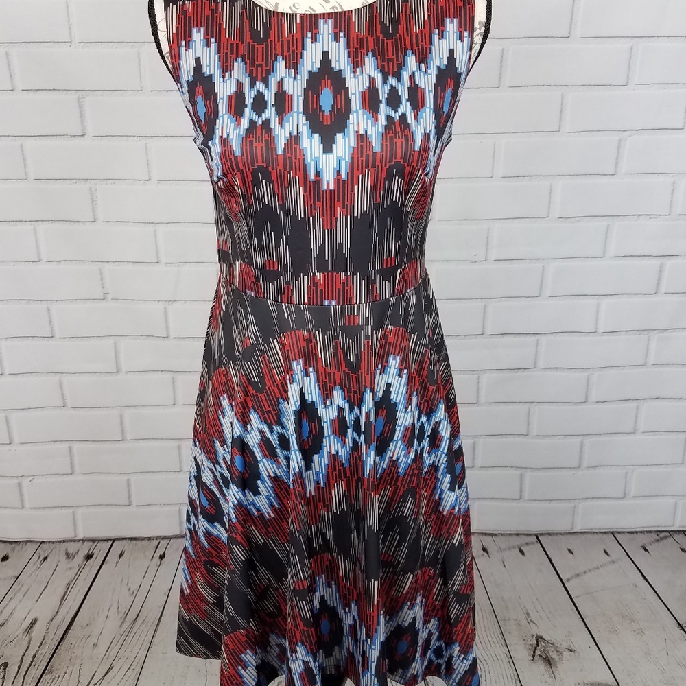Aryeh (Anthropologie) Fit & Flare Sleeveless Dress